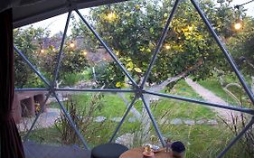 Lemon Tree Dome House